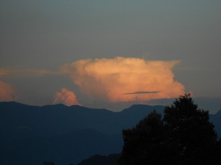 CC658CF3-CA04-46BA-BA22-14AD5AB86F70/L0/001