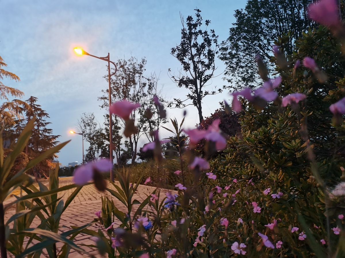 原相机下的景色也很美