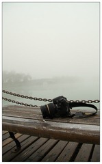 关   注