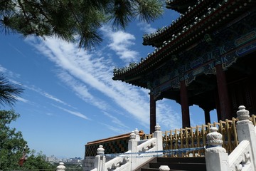 茶乡春早