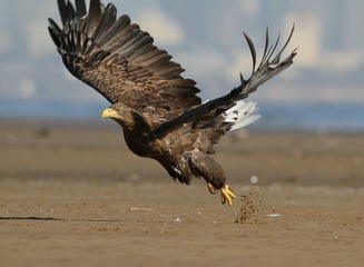 609677