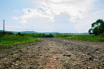 316462