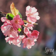 50F72CE1-1916-445E-A73D-728238F0E231/L0/001