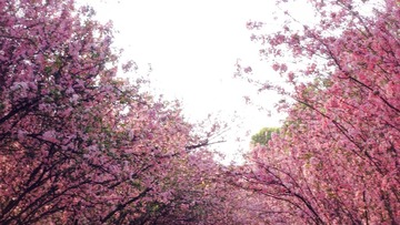 0A4B744C-E38B-498F-8FA3-AF1D09AAFC1D/L0/001