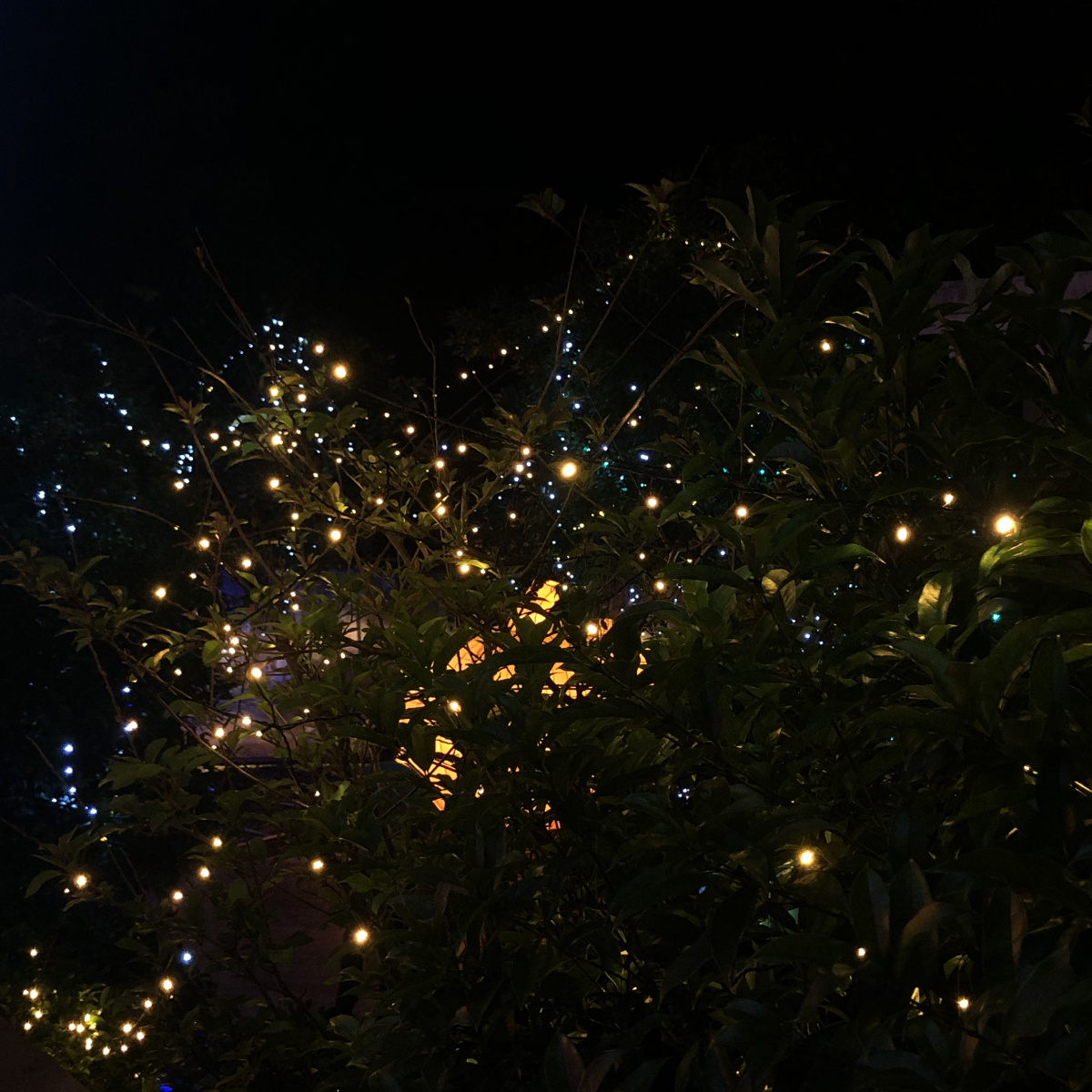 点点灯光在闪耀