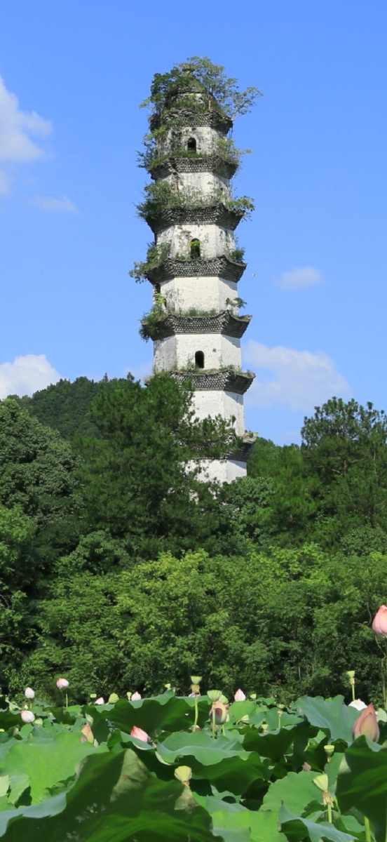 龙游八塔之"刹下塔"刹下塔,坐落在浙江省龙游县横山镇塔下叶村,明万历