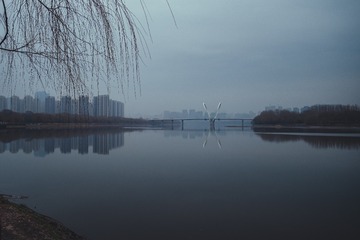 273546