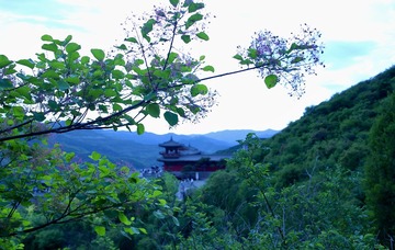 9FD6ECBA-71D0-4FDC-8205-D7778E361009/L0/001