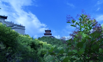 144CCE15-3FD1-423F-8AD8-86AD3C150F4B/L0/001