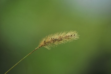 945932