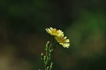 945930