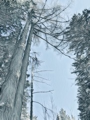 001