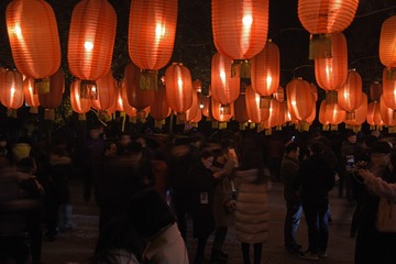 王兵+15949705616+wb-880124+灯会