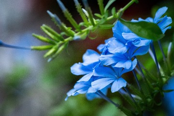 093593B5-4ABF-4FC9-AFBD-4EF95F712F0E/L0/001