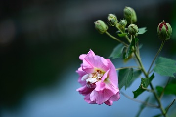 E6834F68-C171-4244-9D50-55D49A6C9AE5/L0/001