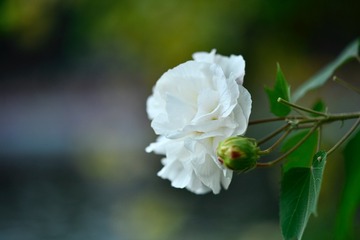 3D0E08D2-0FAB-48AE-9021-CCE550E8857B/L0/001