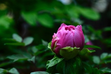 594BA47B-E0C9-4EEE-95E1-A521929E1F2E/L0/001