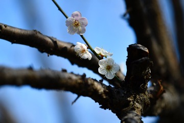 47390835-C384-4F9F-AD06-8A4C84348771/L0/001
