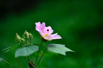 FC8D71C9-952A-4BDD-9611-822BB4CB78FF/L0/001