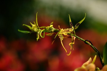 94FE1F6B-B219-4DD7-9EB1-F2A618625CB2/L0/001