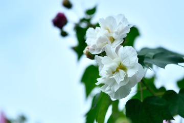 A34B14B8-71B0-4966-941C-30ED7C394D51/L0/001