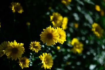 7611C573-4EDD-4C87-B324-0C9032808A64/L0/001