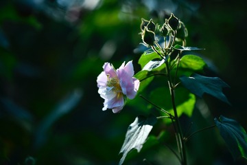 70D34B71-890E-40D7-94CC-D04CCBA2E1B9/L0/001