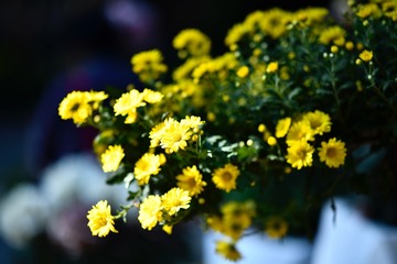D9F366A0-67D6-464F-9465-49D27979A898/L0/001