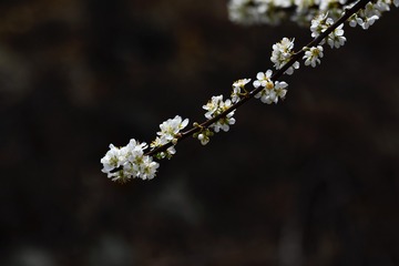 D0808704-7ECD-474B-865A-1B66B3E25861/L0/001
