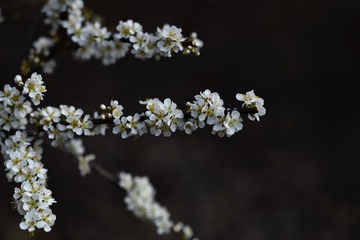 EFA9A0C9-A78B-4EBD-9947-D27FF8588025/L0/001