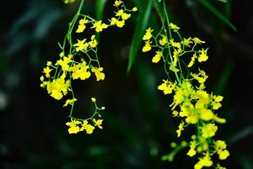 C29D2F45-1992-459D-A7D1-645F68A71799/L0/001