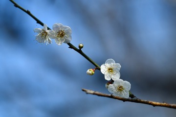 02932A88-DB7D-4C91-837F-332D6068E2F8/L0/001