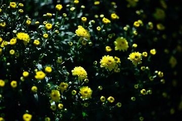 C61D347F-CC51-4AA8-867B-9A622E2536D0/L0/001