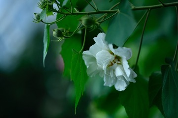 C86EFC7B-9AA1-4704-BCC3-37EF5D4426CA/L0/001