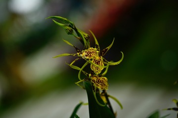 4D3626FB-C30B-480F-B311-B478580056C4/L0/001