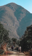 1000016503