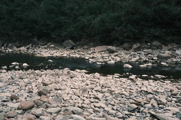 DF3B8565-CA02-4971-B6DD-059ADC6929DD/L0/001