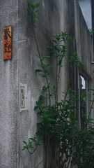 5F5CBC49-58F9-443E-933C-C06198026A74/L0/001