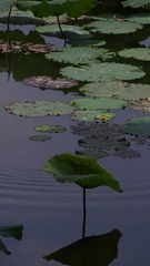 BC2EB3F4-B681-44B6-B6C0-04B712625215/L0/001