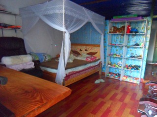 SDC16491