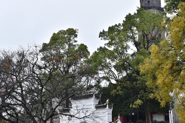LLD_3290