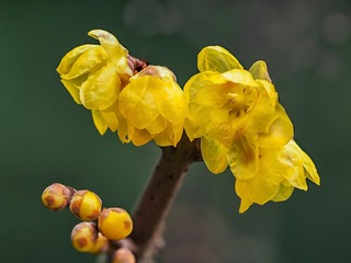 5636408