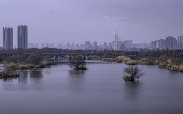 4-2025年1月10日，西咸新区。沣河-冬。