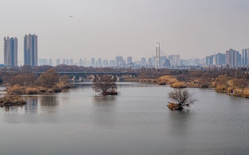 4-2025年1月10日，西咸新区。沣河-冬。