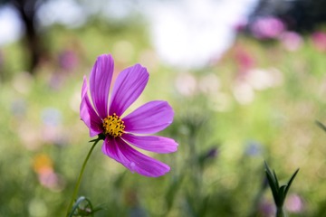 2017-05-29 142610(1)