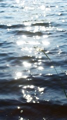 F1A62038-82BD-4D34-8AA8-1EEF2CD6B19C/L0/001