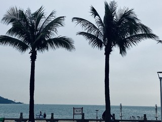 D82388D2-69B3-4574-8A99-712F5C60D5FF/L0/001