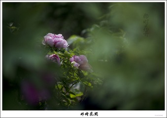 1150750