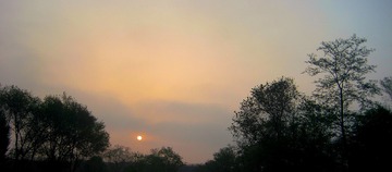 IMG_2081_HZP