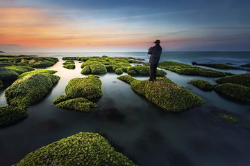 拍海